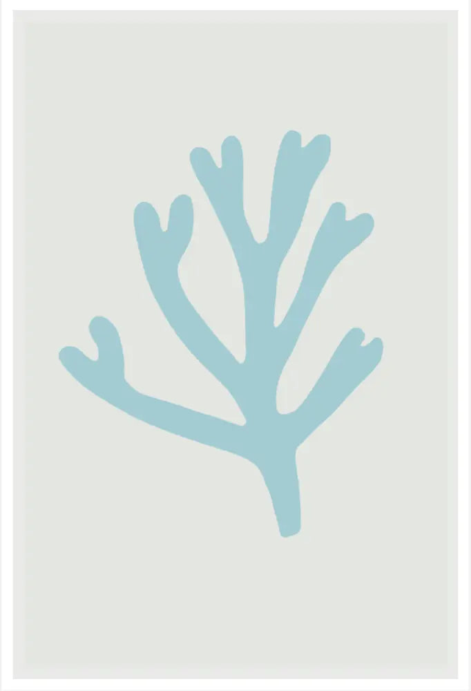 Blue Bay Marine Coral, fine art paper print, The Picturalist