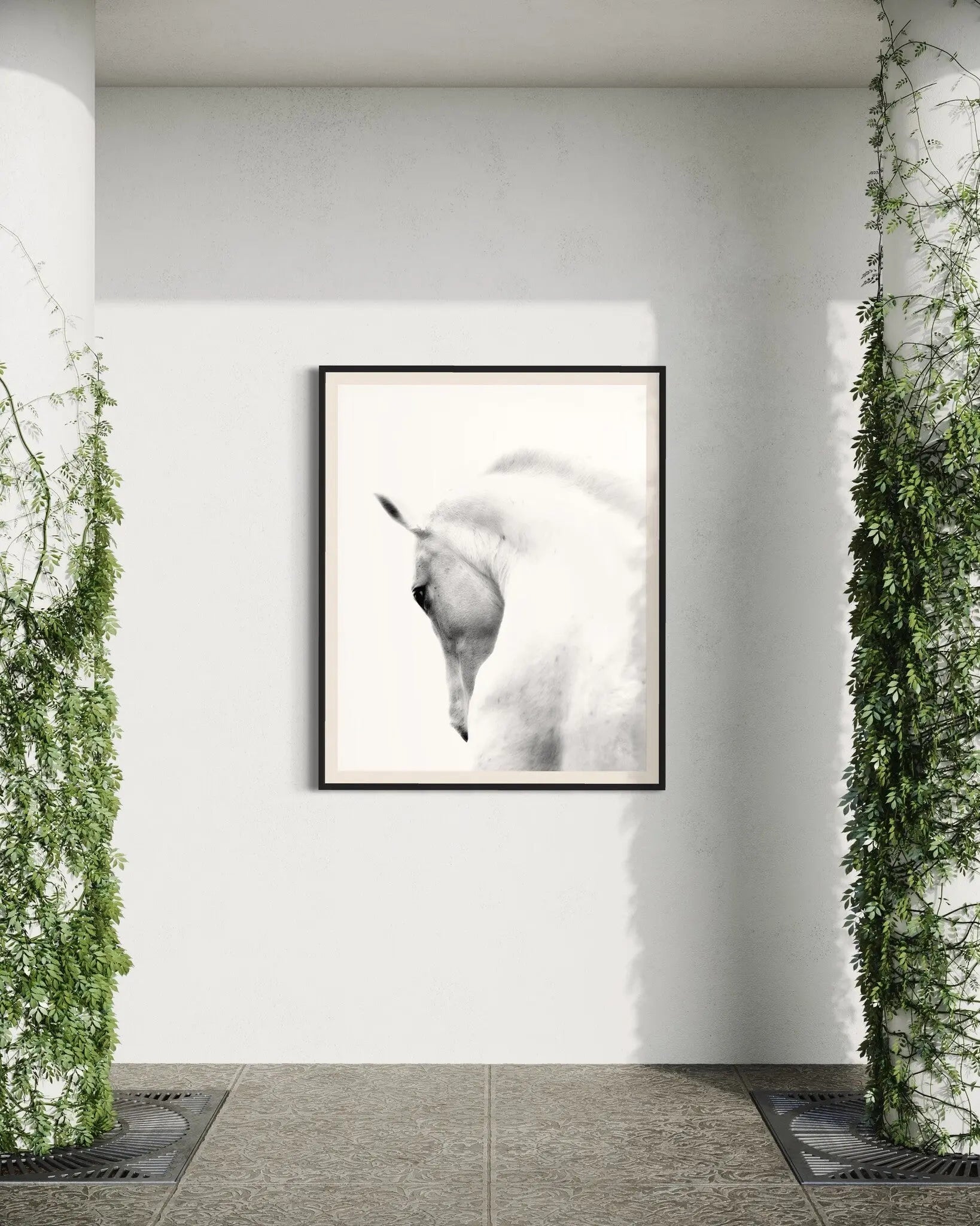 White Stallion Andalusian Horse featured in an elegant interior space