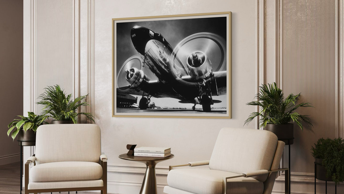 Framed black and white airplane photograph on a wall above two white chairs in a room with plants.