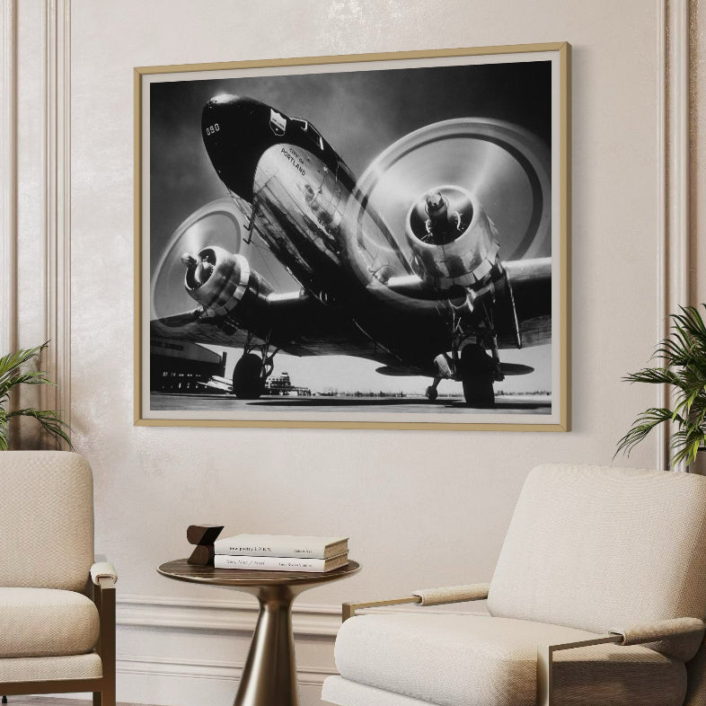 Framed black and white airplane photograph on a wall above two white chairs in a room with plants.