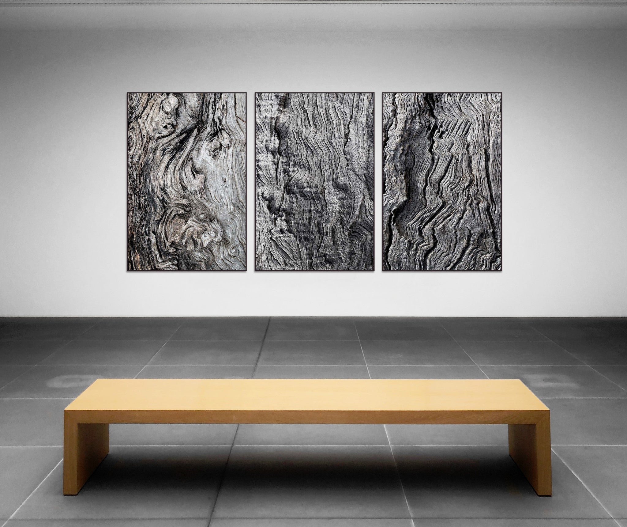 Contexto_corteza_monocrome_triptico