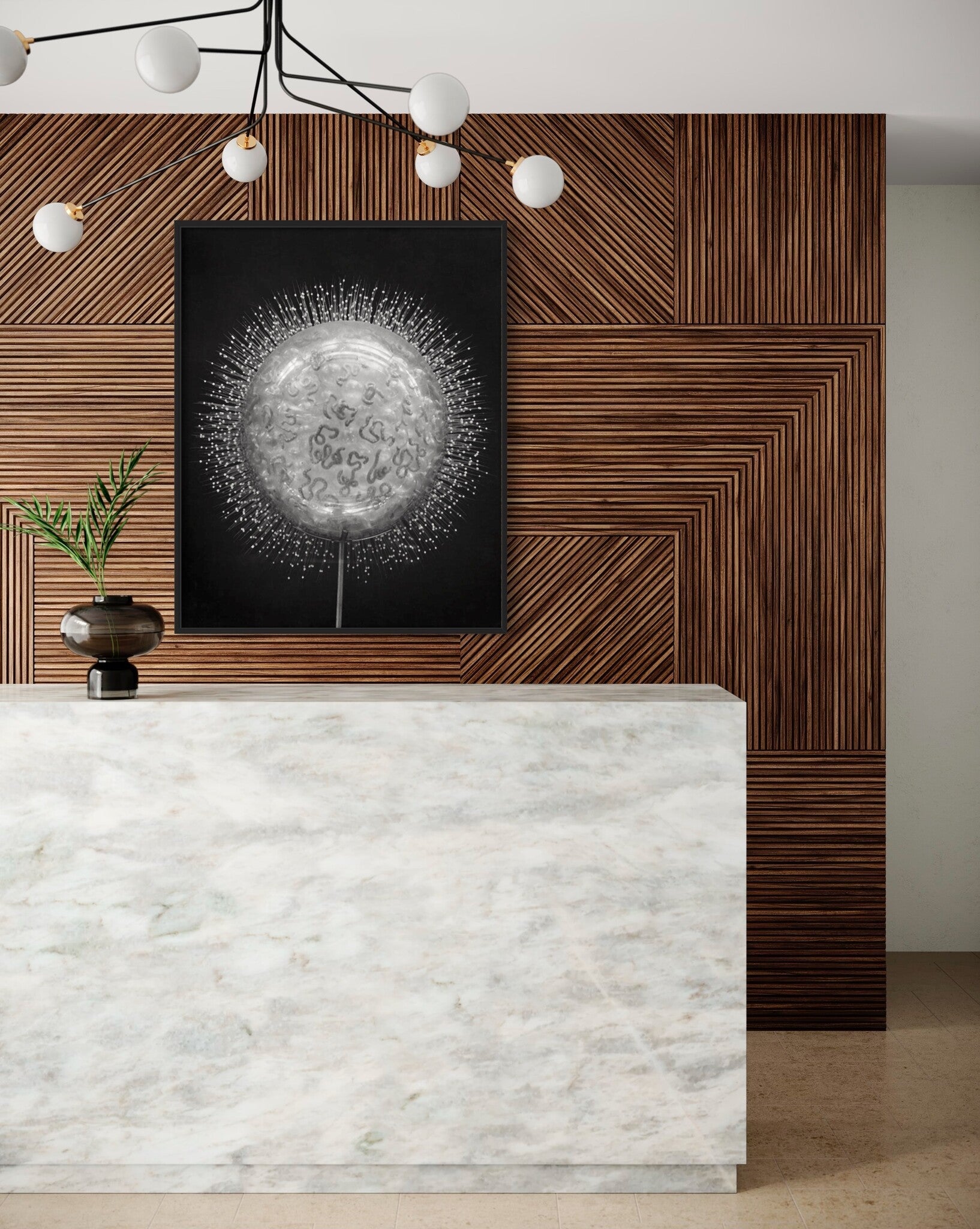 Crystal Radiolarian Elegance Framed art print The Picturalist_6130