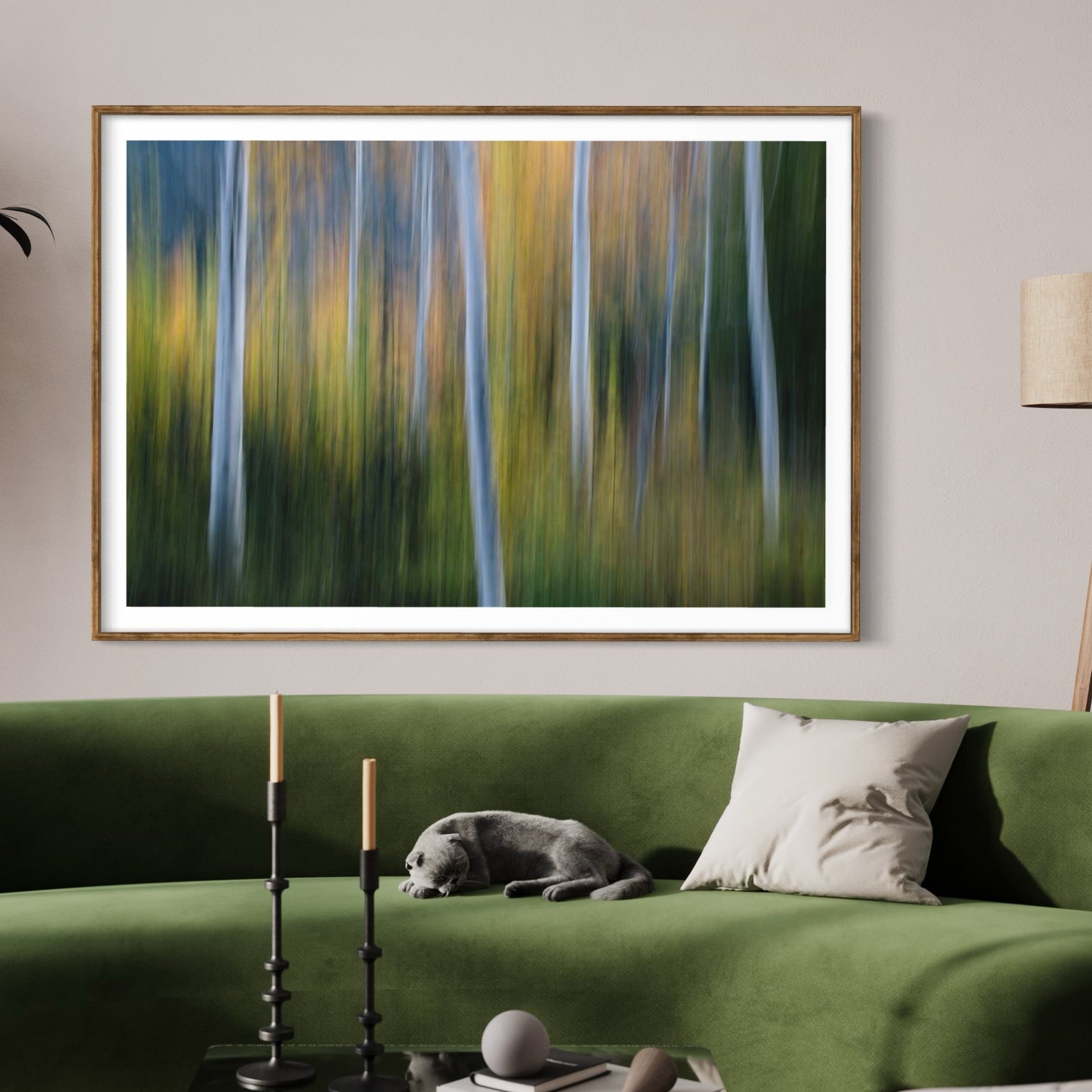 D428F734-B479-41FE-B8D2-30B9EEBA97C7