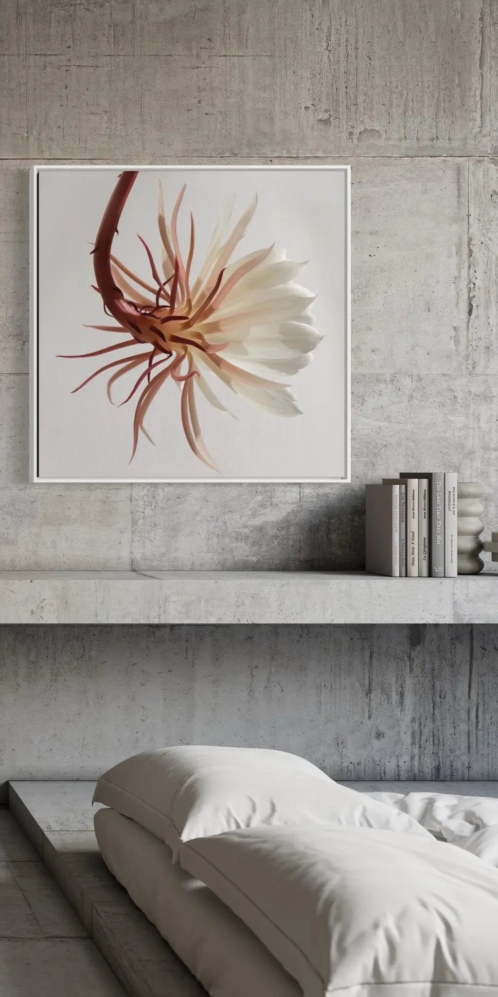 Delicate presented in a curated interior design