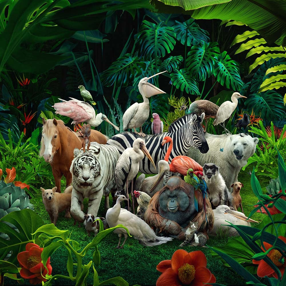 A whimsical black and white photograph featuring a variety of animals gathered close together in a lush green forest setting.
