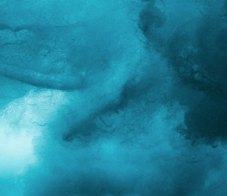 Fulgor Detail by Enric Gener The Picturalist