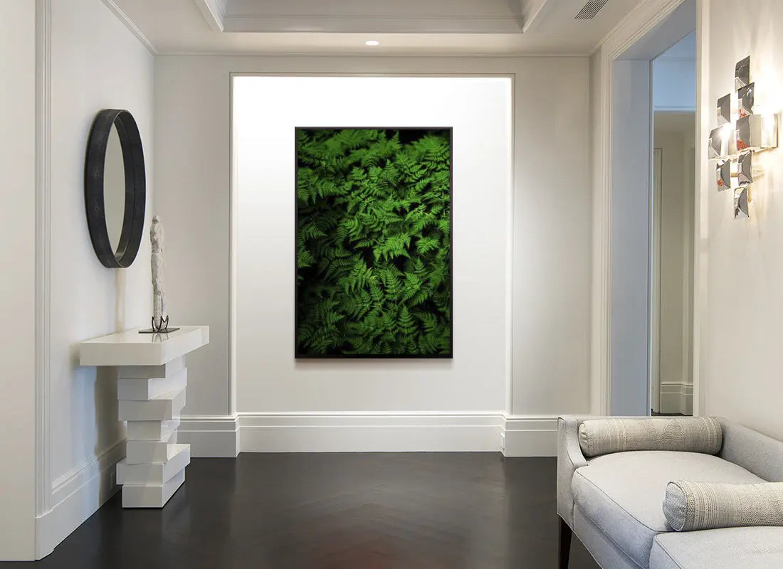 Fern by G. Geller showcased in a designer room setting