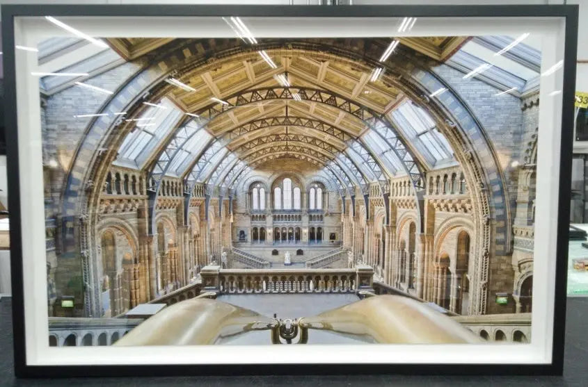 The National History Museum by M. Beck presented in a curated interior design