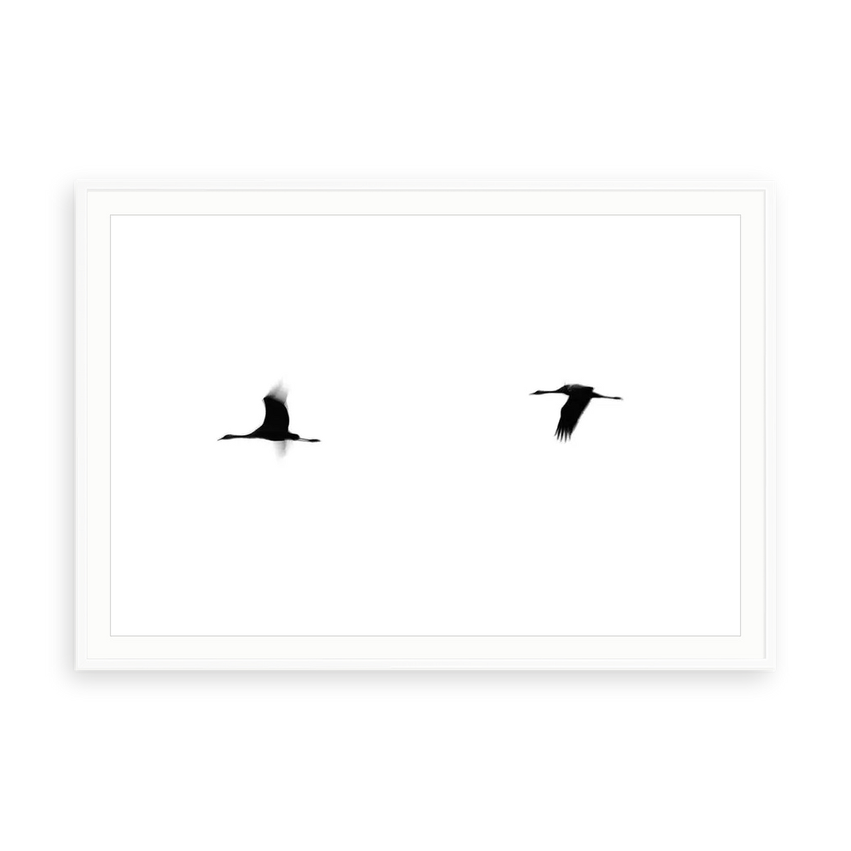 Cranes II by Tal Paz-Fridman — illustrative matte-white framed paper print with white mat; proportions vary by size.