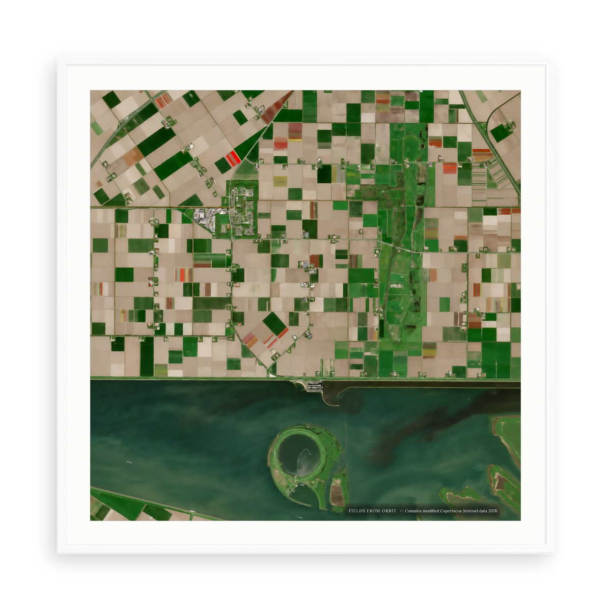 The Tulip Stripes No. 1 — illustrative matte-white framed paper print with white mat; proportions vary by size.