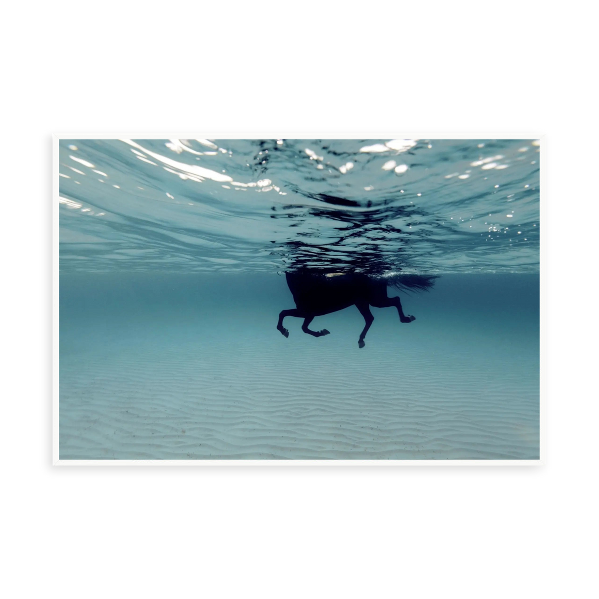 Carrusel Marino by Enric Gener — illustrative narrow matte-white framed metal print, no added mat.