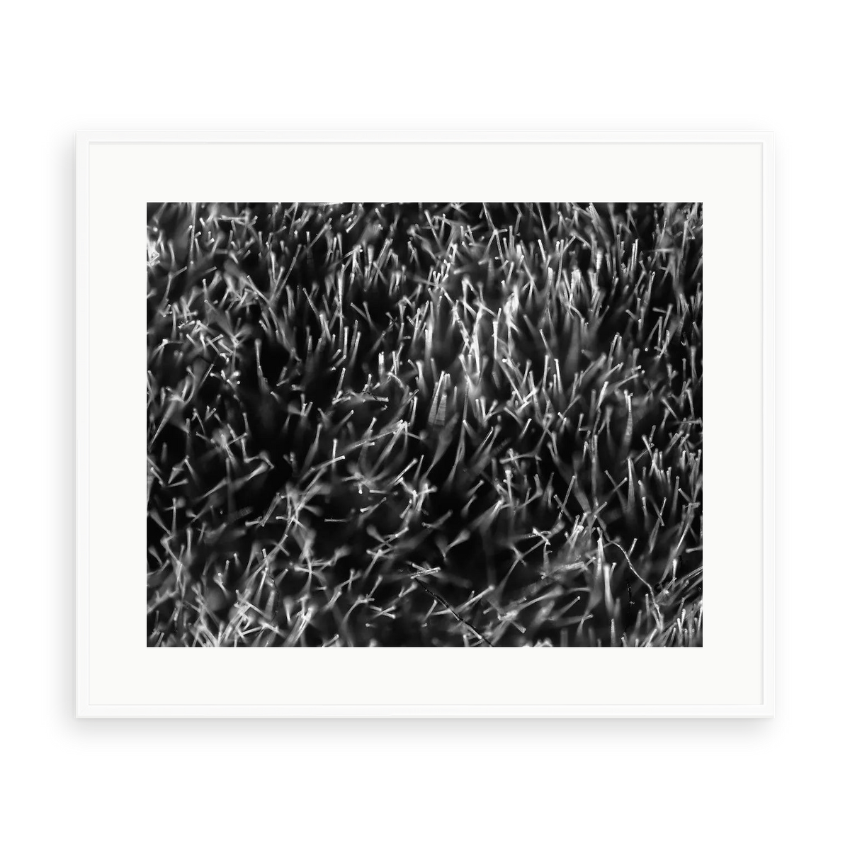 Grass Splendor by David Hoefler — illustrative matte-white framed preview with a white mat. Proportions vary by size.