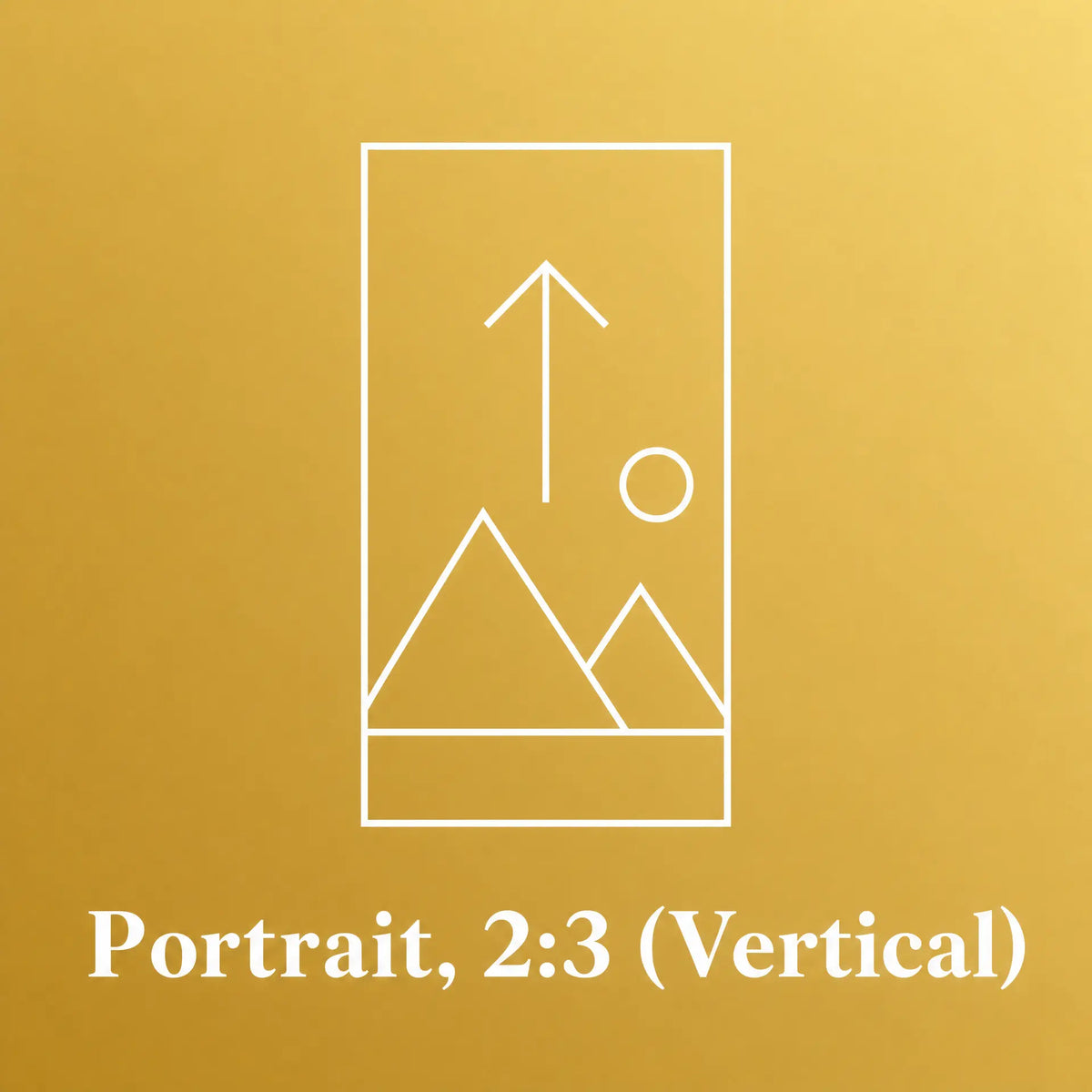 A gold square graphic with a white line icon of a photo frame containing mountains, a sun, and an upward arrow, above the text 'Portrait, 2:3 (Vertical)'. The Picturalist. The Private Collection. Upload your Image.