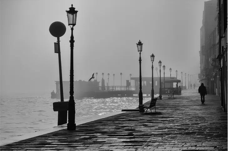 Morning Fog in Venice, metal print, The Picturalist