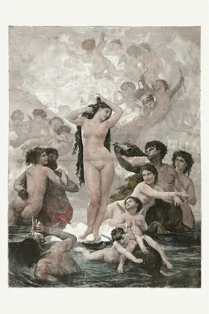 The Birth Of Venus, Xix Century Illustration, fine art paper print, The Picturalist