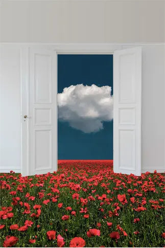 Welcome Home by Francesco Alessandrini, fine art paper print, The Picturalist
