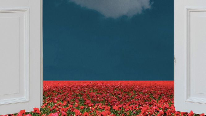 Screen Shot 2020-04-01 at 7.50.25 PM