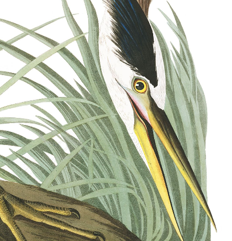 Screen Shot 2020-06-10 at 11.38.19 AM