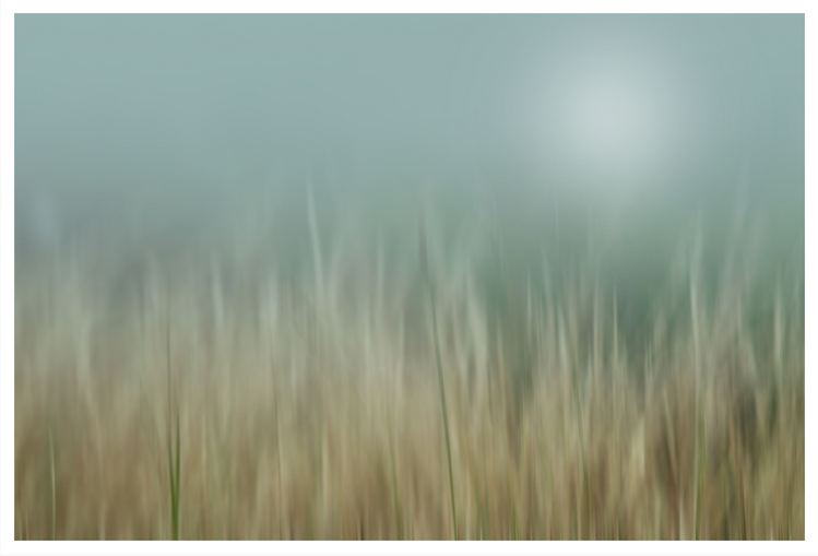 Screen Shot 2020-10-30 at 10.44.47 PM