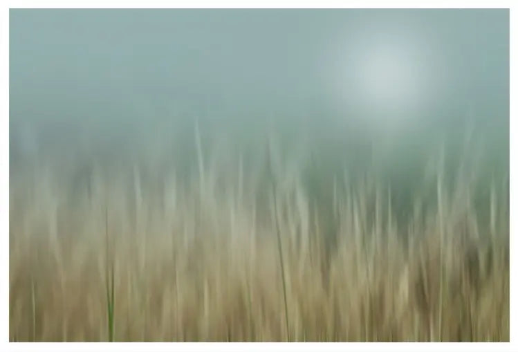 Bliss by Karen Thom, fine art paper print, The Picturalist