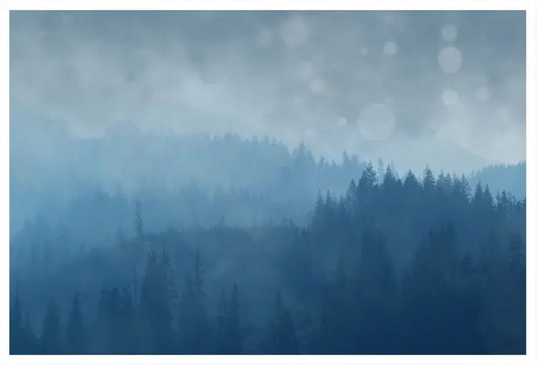 Blueth by Karen Thom, fine art paper print, The Picturalist