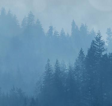 Screen Shot 2020-10-30 at 10.47.12 PM