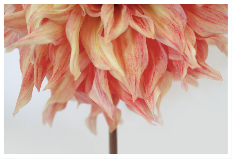 Screen Shot 2020-10-30 at 10.48.16 PM