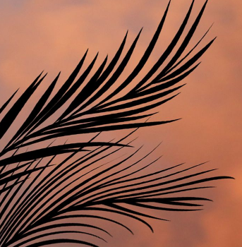 Screen Shot 2020-10-30 at 10.56.56 PM