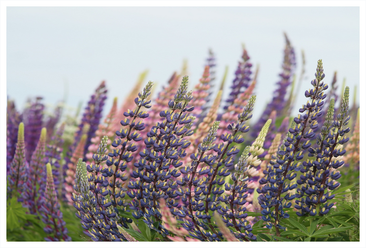 Screen Shot 2020-10-30 at 10.58.37 PM