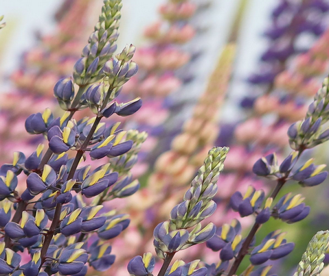 Screen Shot 2020-10-30 at 10.59.05 PM