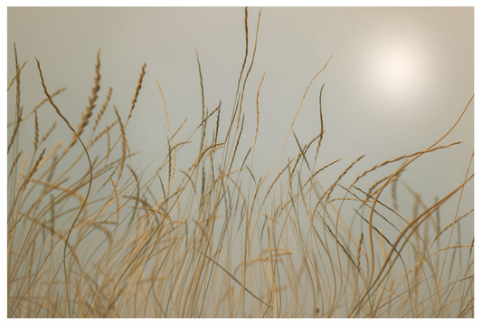 Screen Shot 2020-10-30 at 11.02.20 PM