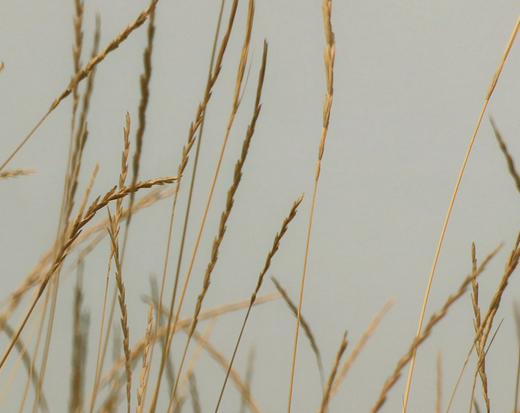 Screen Shot 2020-10-30 at 11.03.20 PM