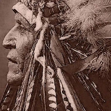 Vintage Photograph 1910 of 'blackfoot Brave' With Headdress. featured in an elegant interior space