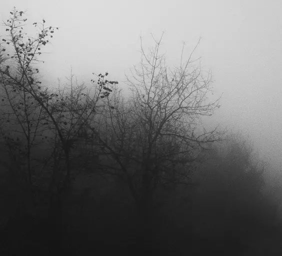 Tomorrow at Dawn by T. Dzingharoff shown in a minimalist home decor setting
