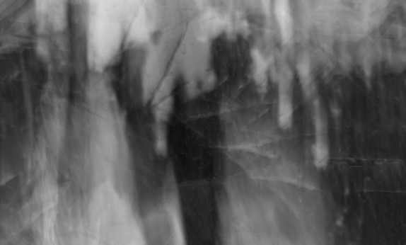 Screen Shot 2021-12-12 at 7.14.58 PM