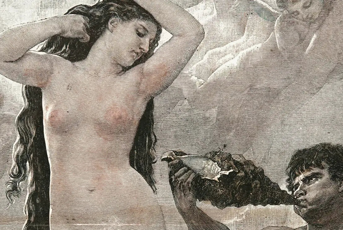 The Birth Of Venus, Xix Century Illustration hanging in a sophisticated office space