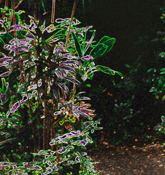 Screen Shot 2022-01-13 at 10.33.13 AM