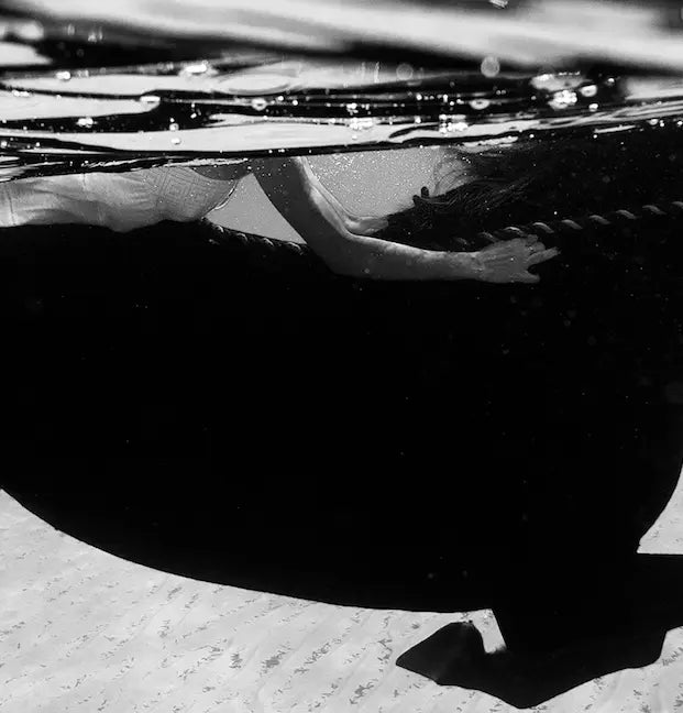 Black Horse by Enric Gener displayed in a modern living room interior