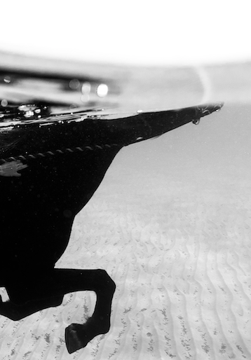 Screen Shot 2022-02-11 at 9.12.03 AM