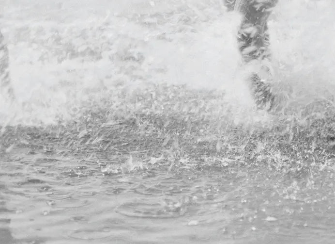 Beach Fun shown in a minimalist home decor setting