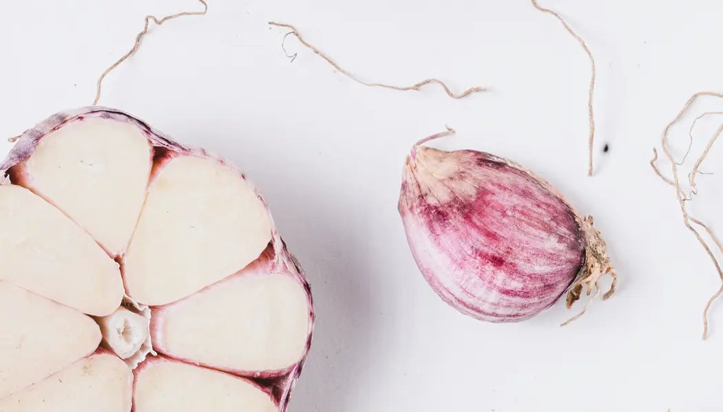 Garlic Deconstructed by Jed Gordon-Moran presented in a curated interior design