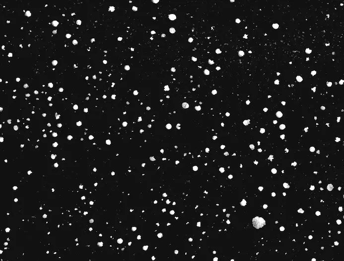 Detail close-up of Sea Constellation by Enric Gener, fine art paper print
