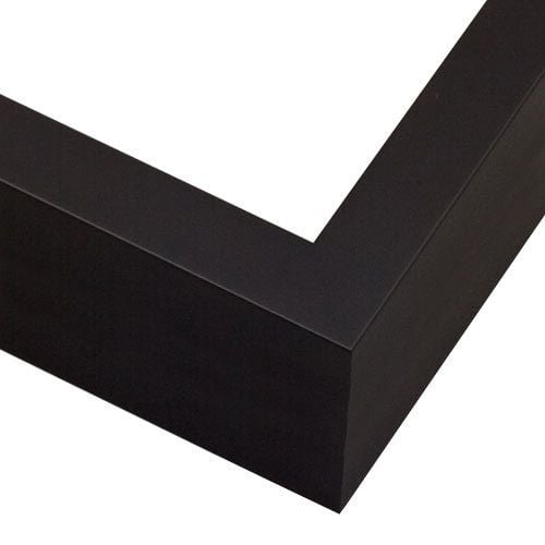 SP2 black copy