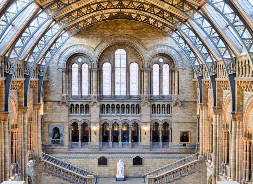 The National History Museum by M. Beck displayed in a modern living room interior