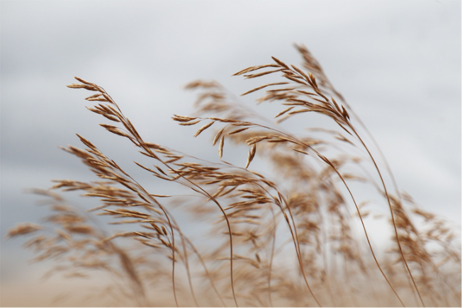 The Picturalist and then i met you