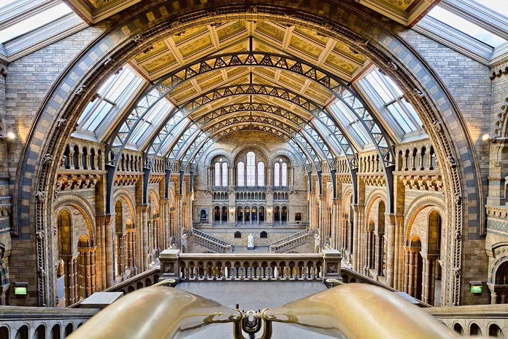 The National History Museum by M. Beck, fine art paper print, The Picturalist