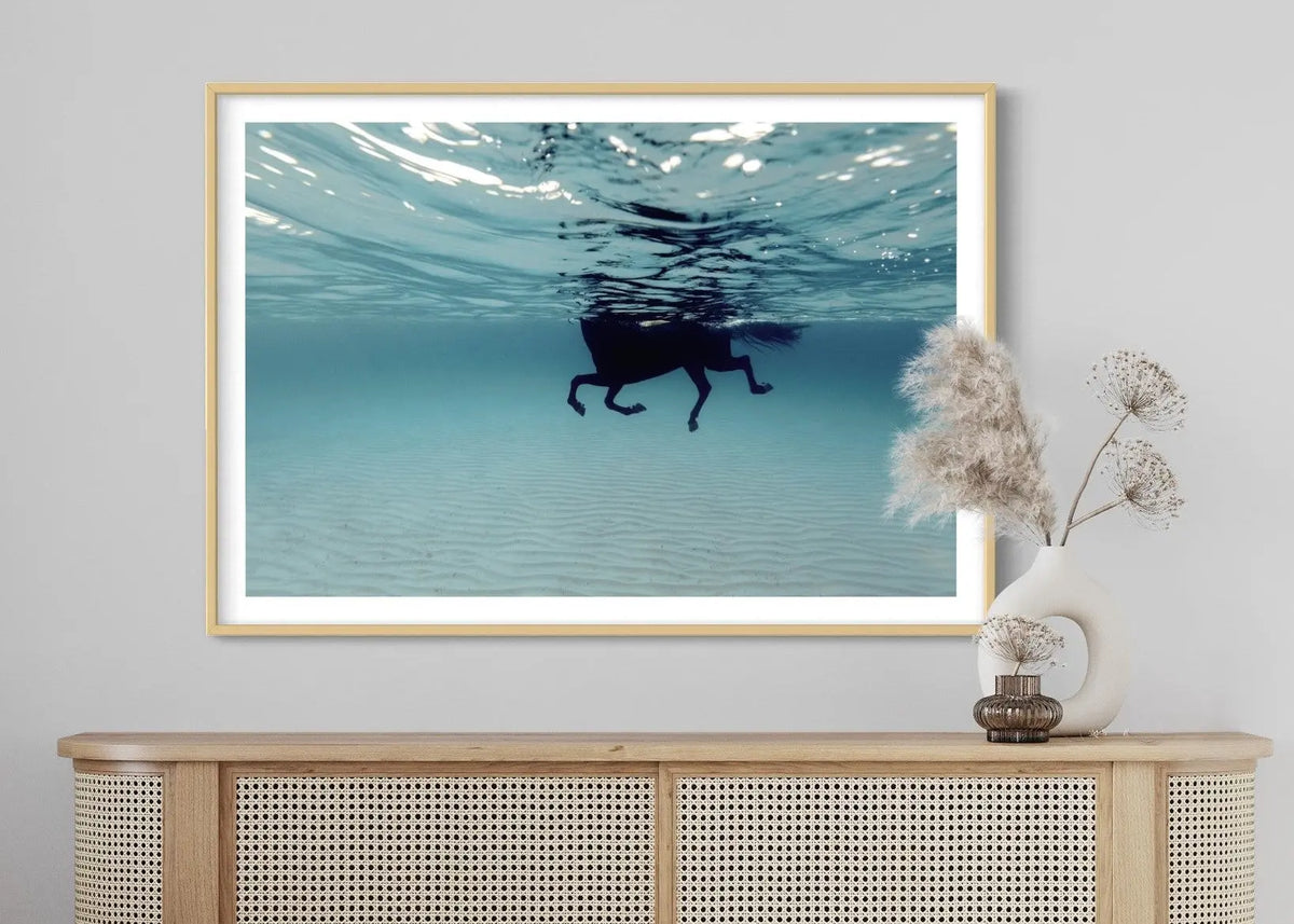 Underwater & Coastal - The Picturalist
