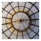 20x20_josh-shaw-644214-unsplash