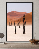 21D2761A-6B86-4001-80DE-1F63B0998CC6