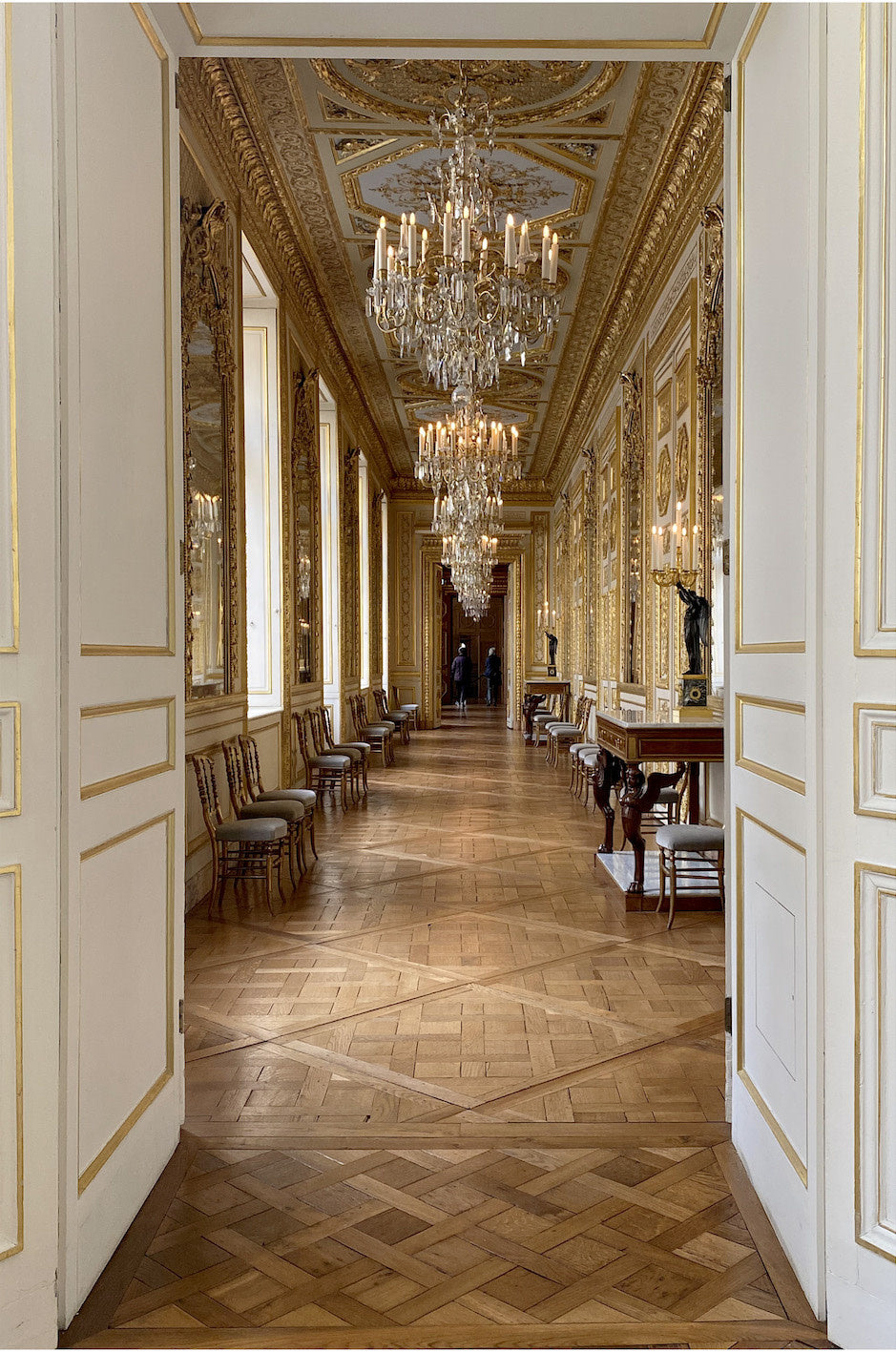 32x48_Photo 2023-02-02, 1 45 14 PM (2)